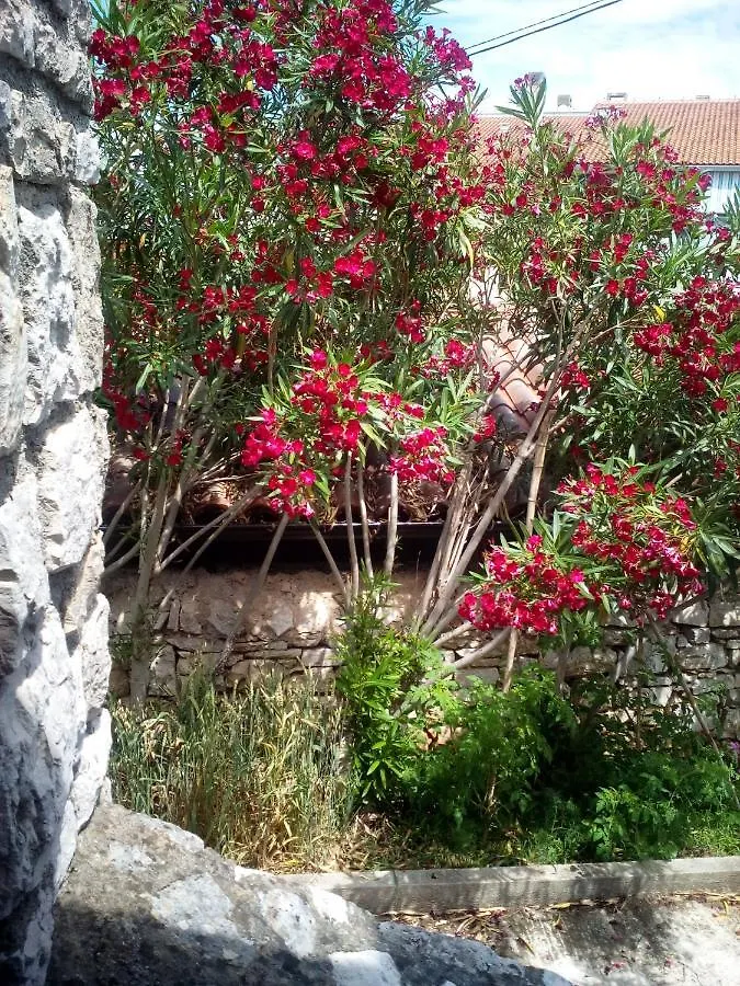 Konoba Yan Appartement Pula 0*,